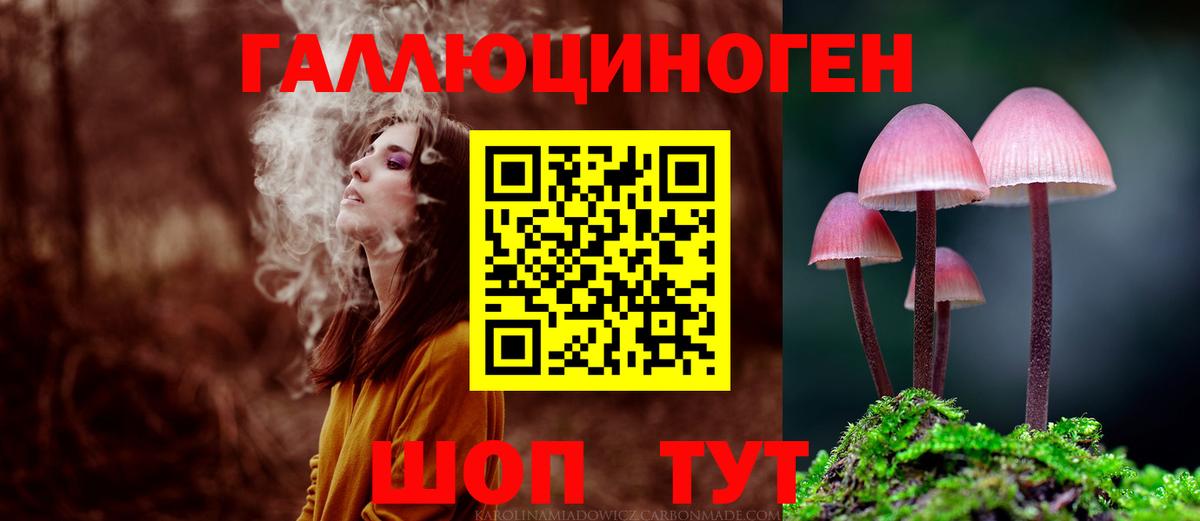 Анжеро-Судженск  Галлюциногенные грибы мицелий  Вход с VPN 